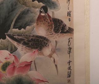 Guo Ruyu Signed Four of Old Chinese Hand Painted Calligraphy Scroll Bird 7