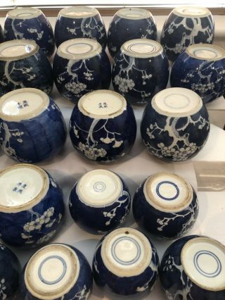 Selection Of 23 Chinese Ginger Jars Blue And White Prunus 19/20Th Century 10