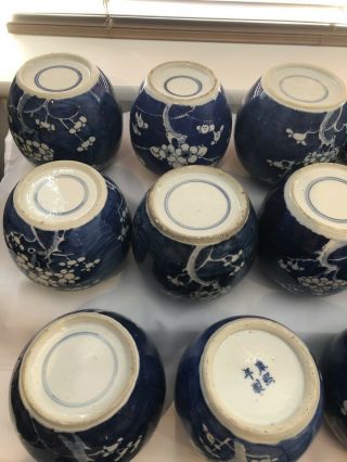Selection Of 23 Chinese Ginger Jars Blue And White Prunus 19/20Th Century 11