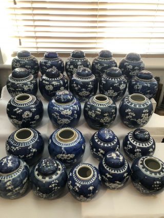 Selection Of 23 Chinese Ginger Jars Blue And White Prunus 19/20th Century