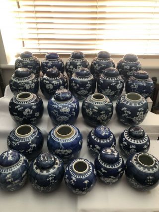 Selection Of 23 Chinese Ginger Jars Blue And White Prunus 19/20Th Century 2