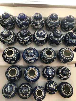 Selection Of 23 Chinese Ginger Jars Blue And White Prunus 19/20Th Century 3