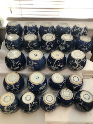 Selection Of 23 Chinese Ginger Jars Blue And White Prunus 19/20Th Century 5