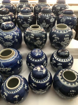 Selection Of 23 Chinese Ginger Jars Blue And White Prunus 19/20Th Century 6