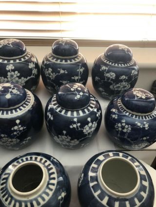 Selection Of 23 Chinese Ginger Jars Blue And White Prunus 19/20Th Century 7
