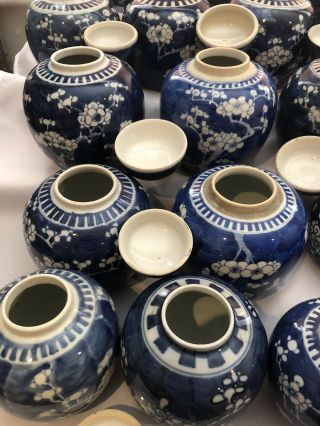 Selection Of 23 Chinese Ginger Jars Blue And White Prunus 19/20Th Century 8