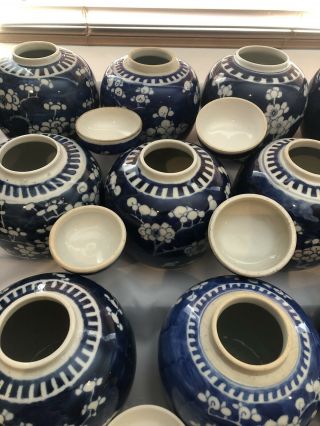 Selection Of 23 Chinese Ginger Jars Blue And White Prunus 19/20Th Century 9