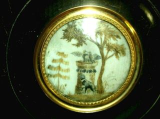 Fine Antique Miniature Memento Mori Mourning Hairwork Dog & Doves Tomb 1790 - 1810