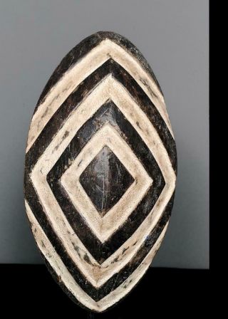 Old Tribal Grassland Ceremonial Shield - Cameroon