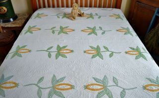 Antique 1800s Hand Stitched Pomegranate Quilt with Border 2