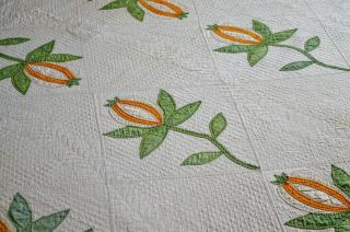Antique 1800s Hand Stitched Pomegranate Quilt with Border 3