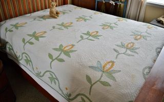 Antique 1800s Hand Stitched Pomegranate Quilt with Border 4