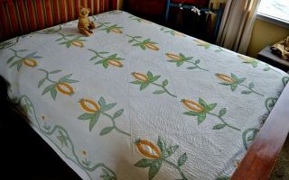 Antique 1800s Hand Stitched Pomegranate Quilt with Border 6