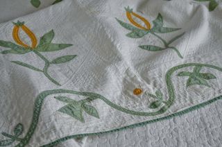 Antique 1800s Hand Stitched Pomegranate Quilt with Border 7