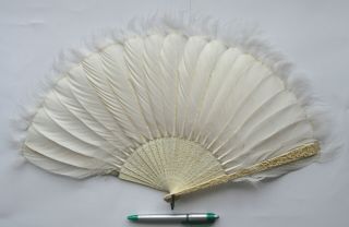 Fine Antique Chinese Canton Brise Carved Feather Export Fan Eventail 1860 清朝 咸丰帝 2