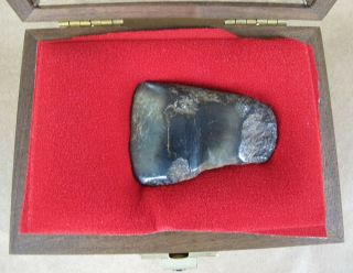 Ancient Northern Alaska Found Eskimo Jade Celt in Custom Built Case NR yqz 3