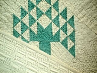 ANTIQUE VINTAGE EARLY 1900S TREE OF LIFE PINWHEEL PATCHWORK QUILT WOW 4