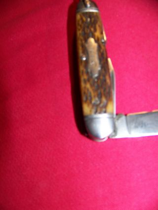 Old WWII Army Utility Style U.  S.  A.  Camillus Bone Pocket Knife Exc. 2