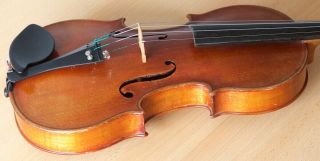 old violin 4/4 geige viola cello fiddle label VITTORIO BELLAROSA 11