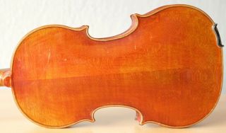 Old Violin 4/4 Geige Viola Cello Fiddle Label Vittorio Bellarosa