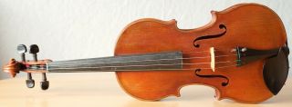 old violin 4/4 geige viola cello fiddle label VITTORIO BELLAROSA 2