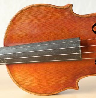 old violin 4/4 geige viola cello fiddle label VITTORIO BELLAROSA 4