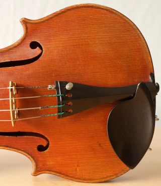old violin 4/4 geige viola cello fiddle label VITTORIO BELLAROSA 6