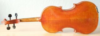 old violin 4/4 geige viola cello fiddle label VITTORIO BELLAROSA 7