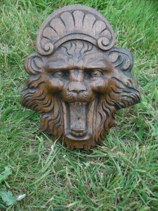 GOTHIC OAK CARVED LION HEAD WITH SCROLLED CROWN 10