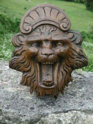 GOTHIC OAK CARVED LION HEAD WITH SCROLLED CROWN 2