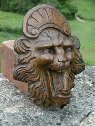 GOTHIC OAK CARVED LION HEAD WITH SCROLLED CROWN 4