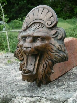 GOTHIC OAK CARVED LION HEAD WITH SCROLLED CROWN 5