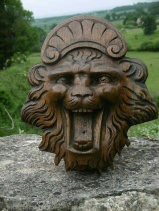 GOTHIC OAK CARVED LION HEAD WITH SCROLLED CROWN 8
