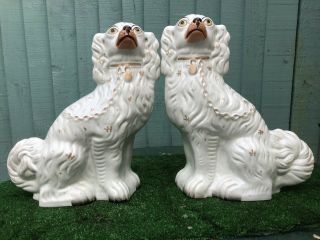 Pair: V Large 19thc Staffordshire White & Gilt Seated Spaniel Dogs C1880s