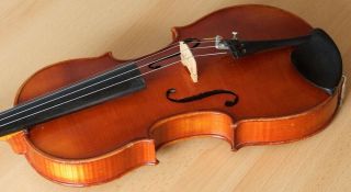 old violin 4/4 geige viola cello fiddle label FERDINANDUS GAGLIANO 11