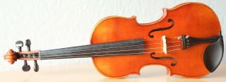 old violin 4/4 geige viola cello fiddle label FERDINANDUS GAGLIANO 2