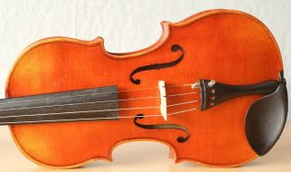 old violin 4/4 geige viola cello fiddle label FERDINANDUS GAGLIANO 3