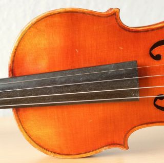 old violin 4/4 geige viola cello fiddle label FERDINANDUS GAGLIANO 4