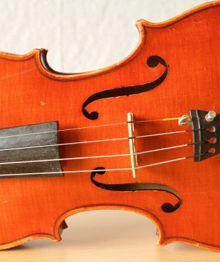 old violin 4/4 geige viola cello fiddle label FERDINANDUS GAGLIANO 5