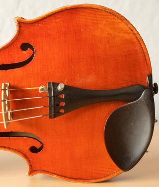 old violin 4/4 geige viola cello fiddle label FERDINANDUS GAGLIANO 6