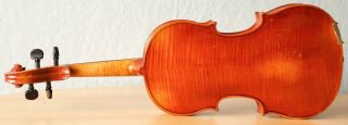 old violin 4/4 geige viola cello fiddle label FERDINANDUS GAGLIANO 7