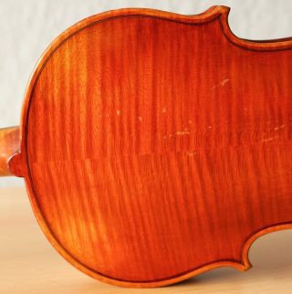 old violin 4/4 geige viola cello fiddle label FERDINANDUS GAGLIANO 8