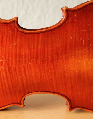 old violin 4/4 geige viola cello fiddle label FERDINANDUS GAGLIANO 9