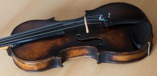 old violin 4/4 geige viola cello fiddle label JACOBUS STAINER 11