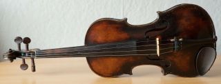 old violin 4/4 geige viola cello fiddle label JACOBUS STAINER 2