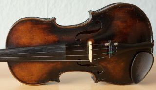 old violin 4/4 geige viola cello fiddle label JACOBUS STAINER 3