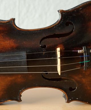 old violin 4/4 geige viola cello fiddle label JACOBUS STAINER 5