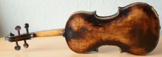 old violin 4/4 geige viola cello fiddle label JACOBUS STAINER 7