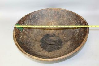 A PILGRIM PERIOD 17TH C AMERICAN HAND HEWN BOWL IN MAPLE BURL IN OLD DRY SURFACE 10
