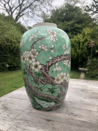 Chinese 19th Century Famille Verte Prunus And Bird Porcelain Vase